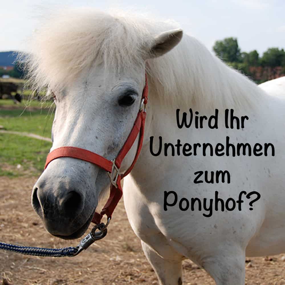 Wird das Unternehmen zum Ponyhof?